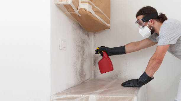 Professional Bathroom Mold Removal technician working in Broadway, NC
